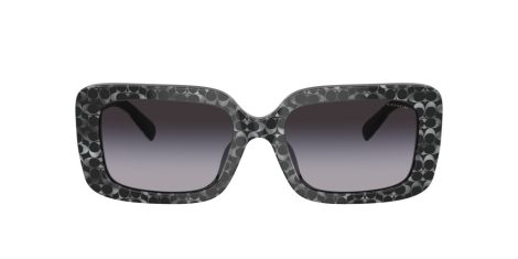 Coach Cl922 HC 8380U 55208G