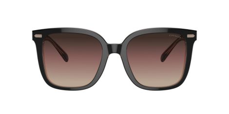 Coach Cl918 HC 8381U 5781E2