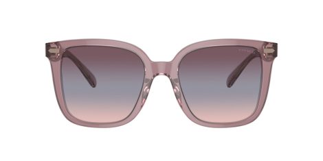 Coach Cl918 HC 8381U 57820J