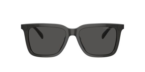 Coach Cl910 HC 8385U 579387