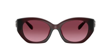 Coach Cw194 HC 8407U 53938H