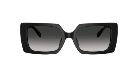 Coach Cw224 HC 8409U 50023C