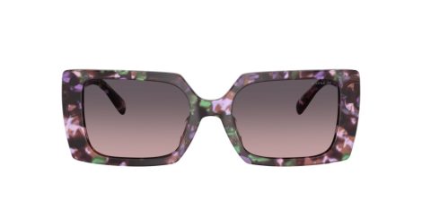 Coach Cw224 HC 8409U 584346