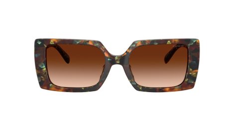 Coach Cw224 HC 8409U 584474