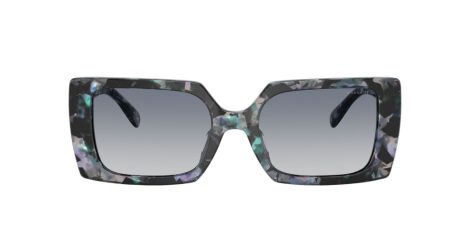 Coach Cw224 HC 8409U 584535