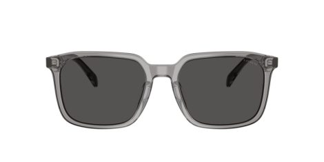 Coach Cw405 HC 8411U 584987