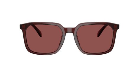 Coach Cw405 HC 8411U 585075