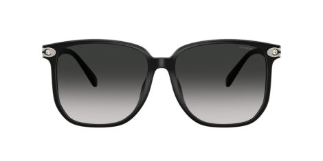 Coach Cw419 HC 8413BD 50023C