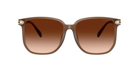 Coach Cw419 HC 8413BD 580874