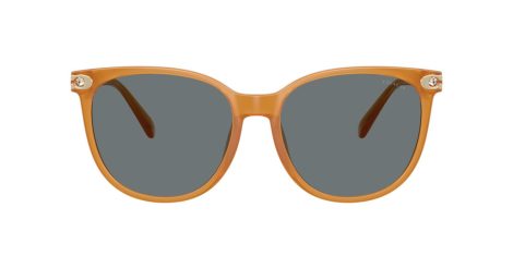 Coach Cw428 HC 8414BD 585580