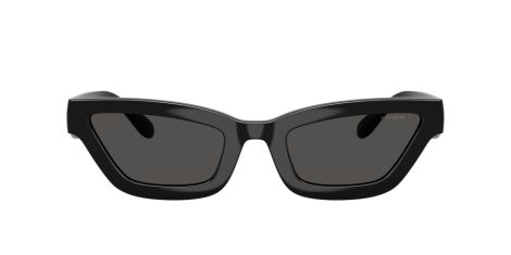 Coach Cad28 HC 8420U 500287