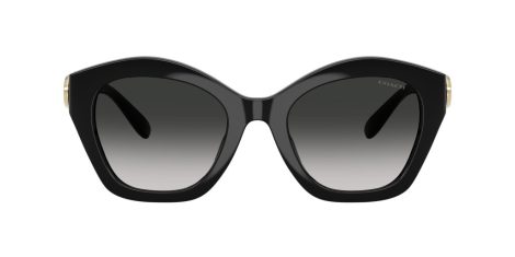 Coach Cad31 HC 8421U 50023C