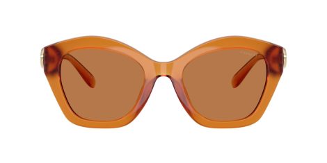 Coach Cad31 HC 8421U 564773