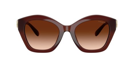 Coach Cad31 HC 8421U 584174