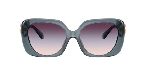 Coach Cad33 HC 8422U 5871U7