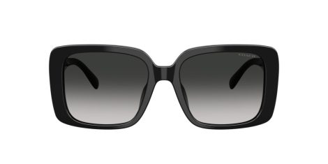 Coach Cad54 HC 8424U 50023C