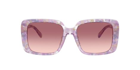 Coach Cad54 HC 8424U 58677W