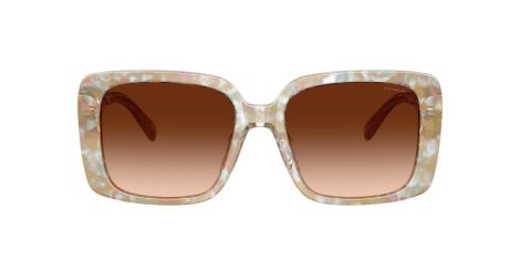 Coach Cad54 HC 8424U 586874