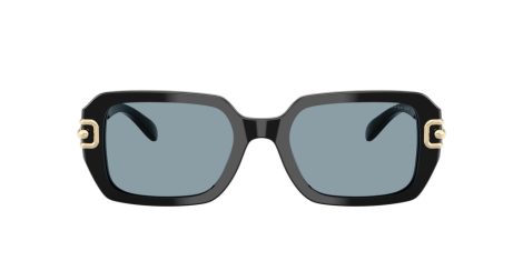 Coach Cad74 HC 8425U 500272