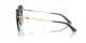 Jimmy Choo JC 4004HB 30068G