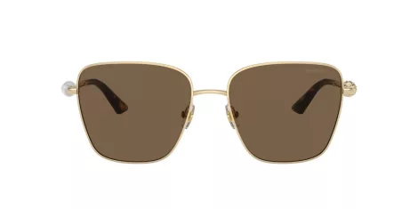 Jimmy Choo JC 4005HB 300673 Jimmy Choo JC 4005HB 300673