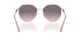 Jimmy Choo JC 4007BD 300636 Jimmy Choo JC 4007BD 300636