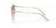 Jimmy Choo JC 4011 300658