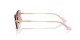Jimmy Choo JC 4012 300620 Jimmy Choo JC 4012 300620
