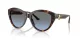 Jimmy Choo JC 5007 50028F Jimmy Choo JC 5007 50028F