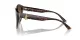 Jimmy Choo JC 5007 5002T5 Jimmy Choo JC 5007 5002T5