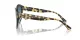 Jimmy Choo JC 5007 500419 Jimmy Choo JC 5007 500419