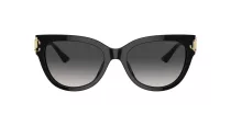 Jimmy Choo JC 5018U 50008G