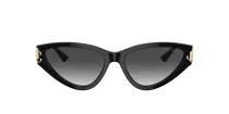 Jimmy Choo JC 5019 50008G
