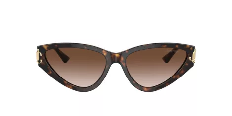 Jimmy Choo JC 5019 500213 Jimmy Choo JC 5019 500213