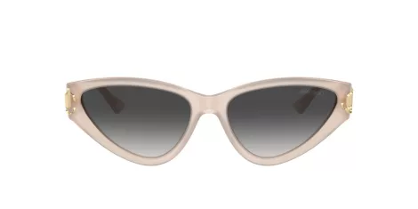 Jimmy Choo JC 5019 50258G Jimmy Choo JC 5019 50258G