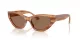 Jimmy Choo JC 5022B 505573