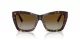 Jimmy Choo JC 5031 5002T5