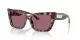 Jimmy Choo JC 5041 50701A Jimmy Choo JC 5041 50701A