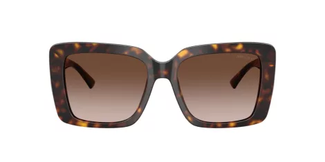 Jimmy Choo JC 5042 500213 Jimmy Choo JC 5042 500213
