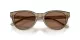 Jimmy Choo JC 5043D 505173 Jimmy Choo JC 5043D 505173