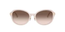 Jimmy Choo JC 5044D 50253B