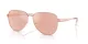 Michael Kors Biarritz MK 1160 11086X Michael Kors Biarritz MK 1160 11086X