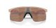 Oakley Resistor OJ 9010 17
