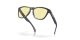 Oakley Frogskins OO 9013 L4