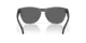 Oakley Frogskins OO 9013 M0