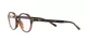 Polo PH 2251U 5625