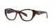 Prada PR 21ZV 19J1O1 Prada PR 21ZV 19J1O1