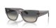 Ray-Ban Carlos RB 0947S 667571