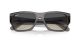 Ray-Ban Carlos RB 0947S 667571