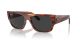 Ray-Ban Carlos RB 0947S 954/48